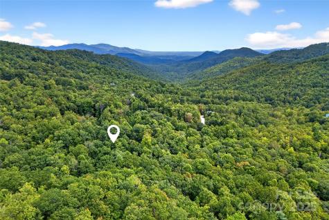 100 Comet Falls Trail Black Mountain NC 28711