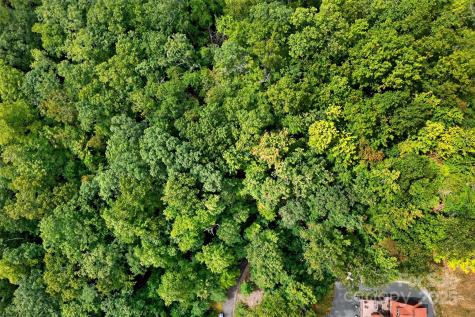 100 Comet Falls Trail Black Mountain NC 28711