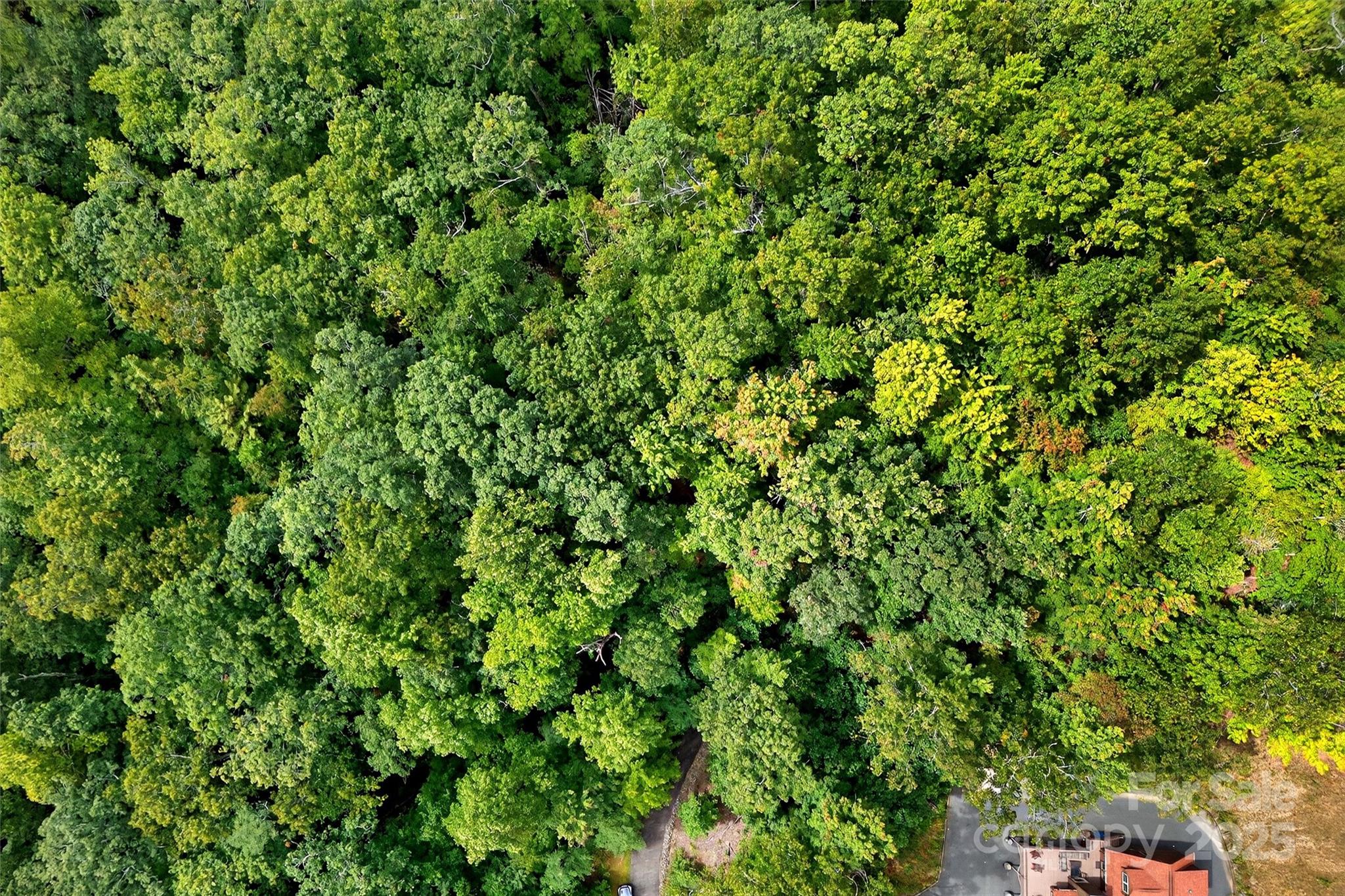 100 Comet Falls Trail Black Mountain NC 28711