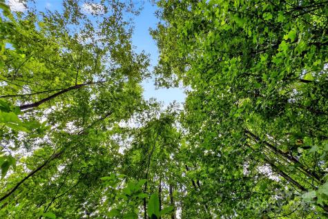 100 Comet Falls Trail Black Mountain NC 28711