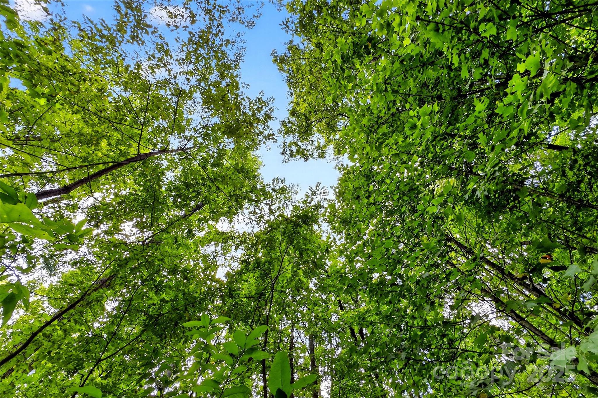 100 Comet Falls Trail Black Mountain NC 28711