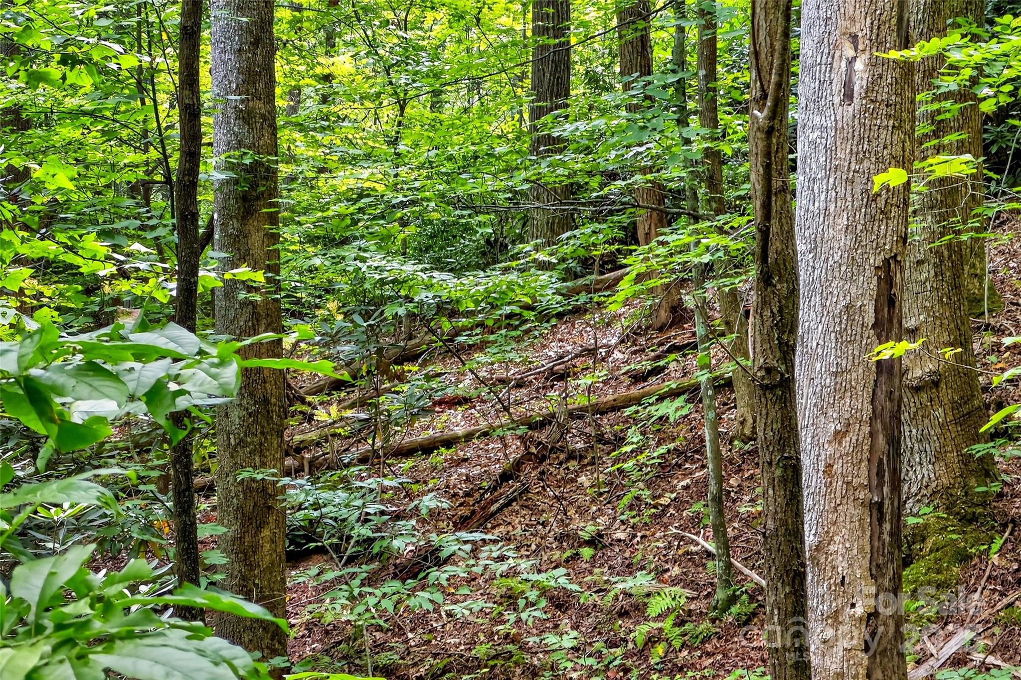 100 Comet Falls Trail Black Mountain NC 28711