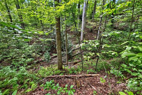 100 Comet Falls Trail Black Mountain NC 28711