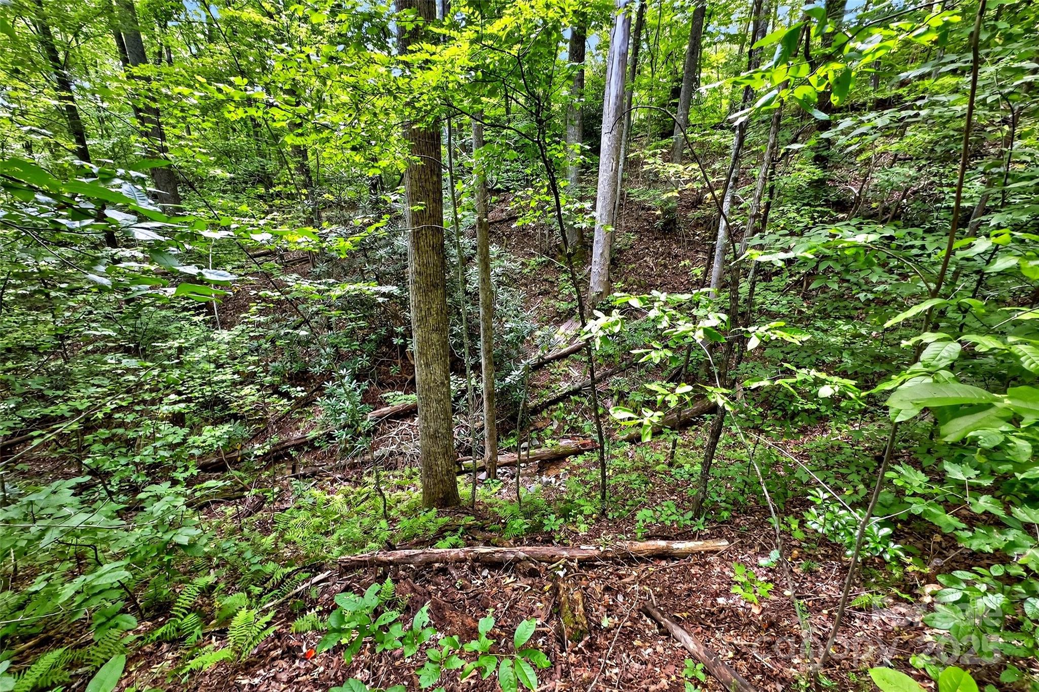 100 Comet Falls Trail Black Mountain NC 28711