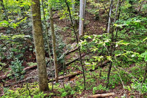 100 Comet Falls Trail Black Mountain NC 28711