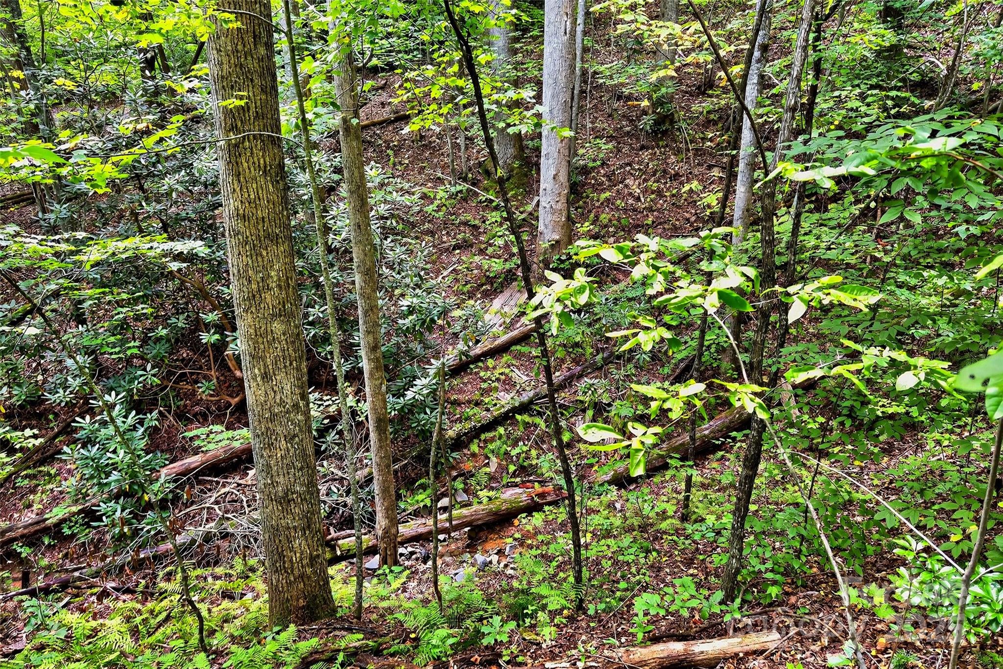 100 Comet Falls Trail Black Mountain NC 28711