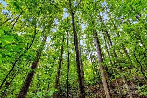 100 Comet Falls Trail Black Mountain NC 28711