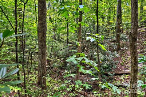 100 Comet Falls Trail Black Mountain NC 28711