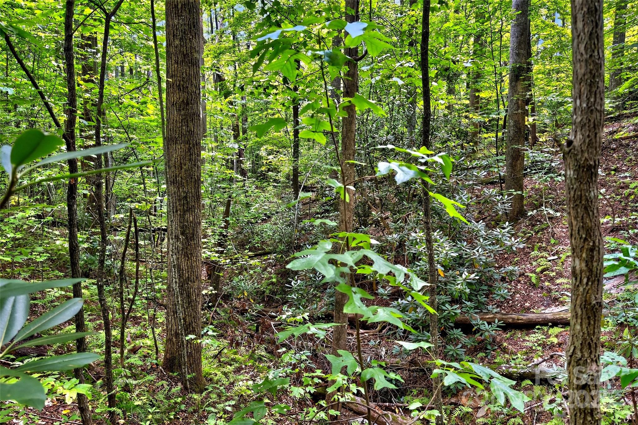 100 Comet Falls Trail Black Mountain NC 28711
