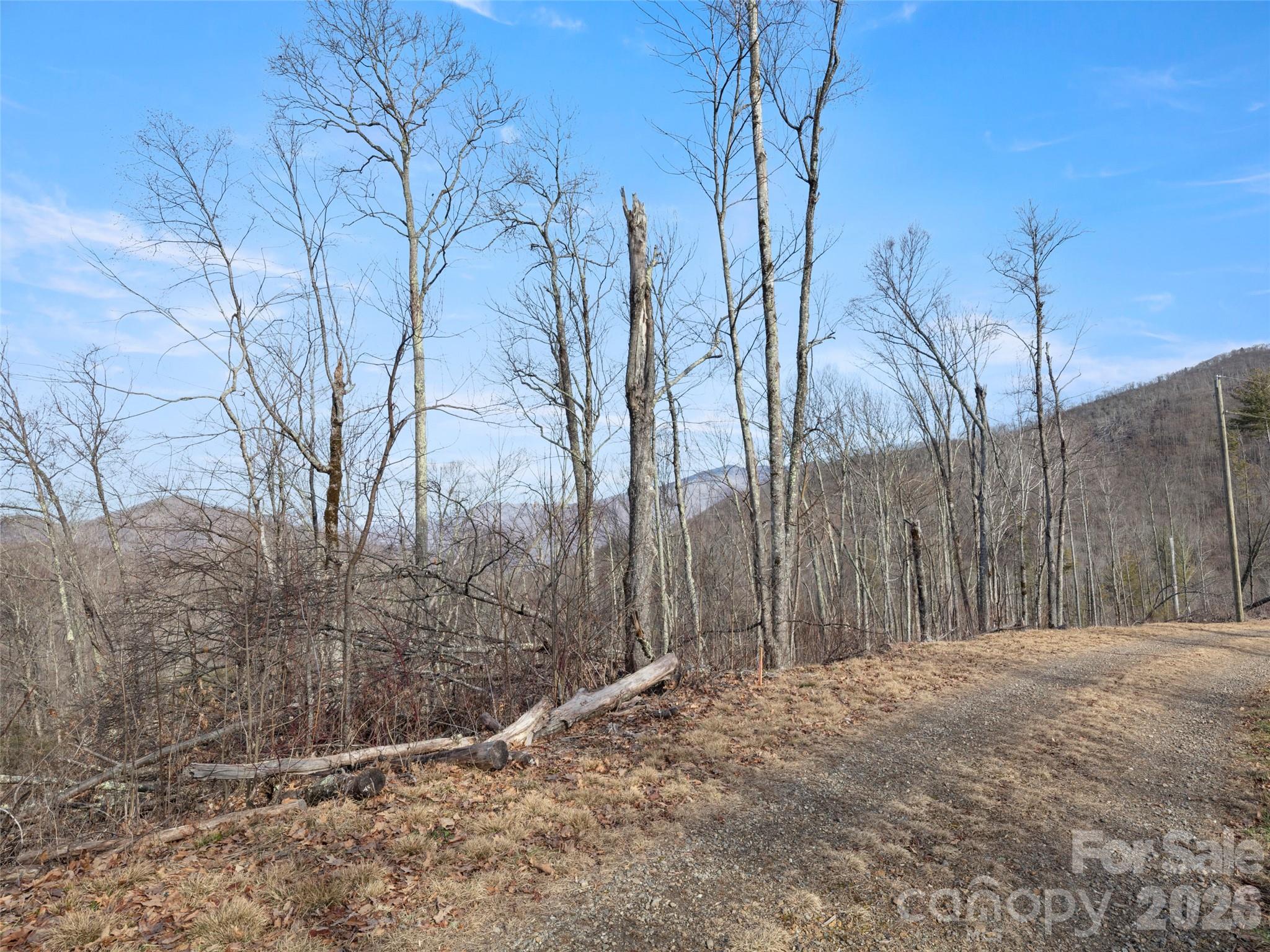 Tbd S Ridge Runner Road Burnsville NC 28714
