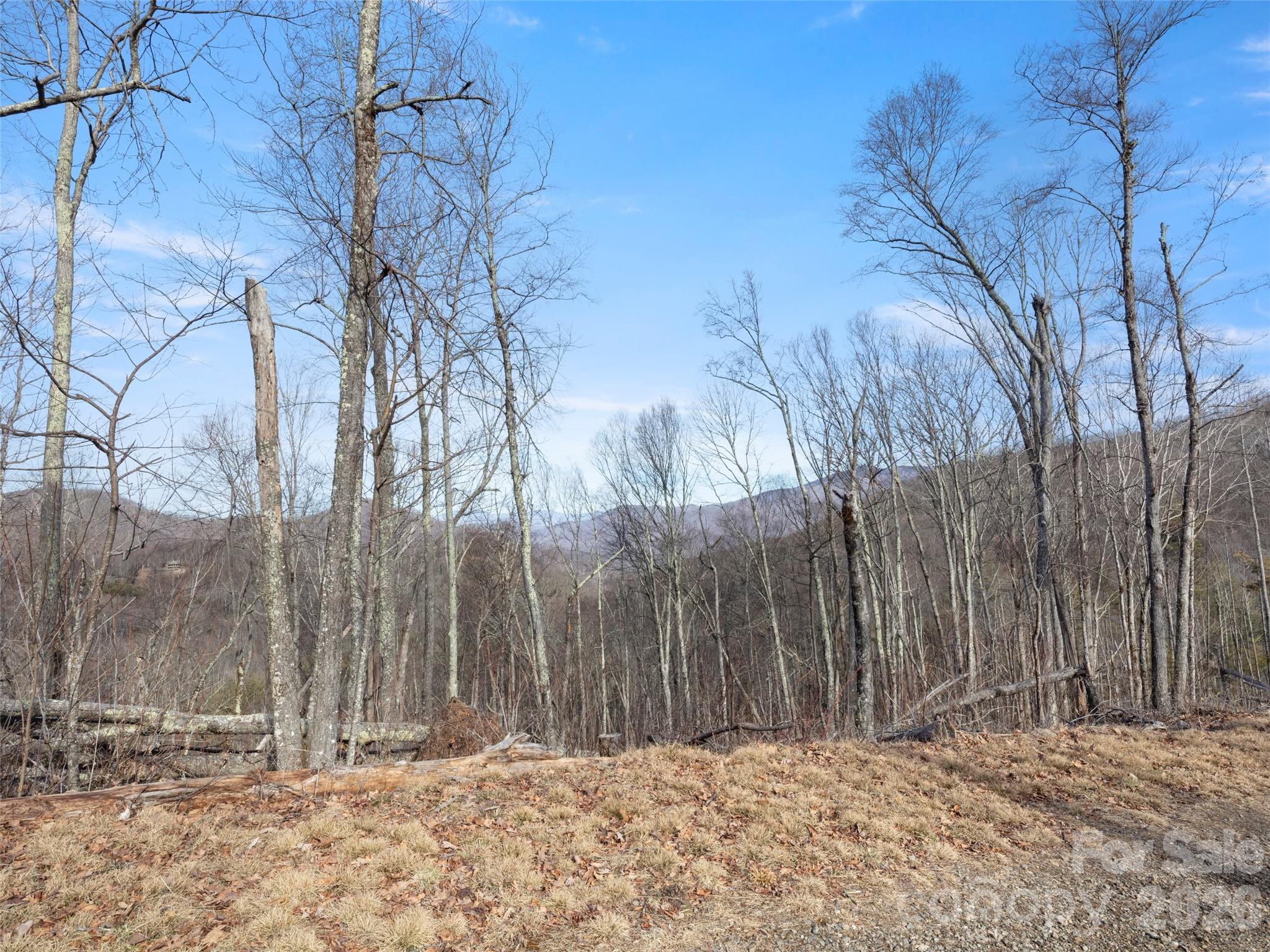 Tbd S Ridge Runner Road Burnsville NC 28714