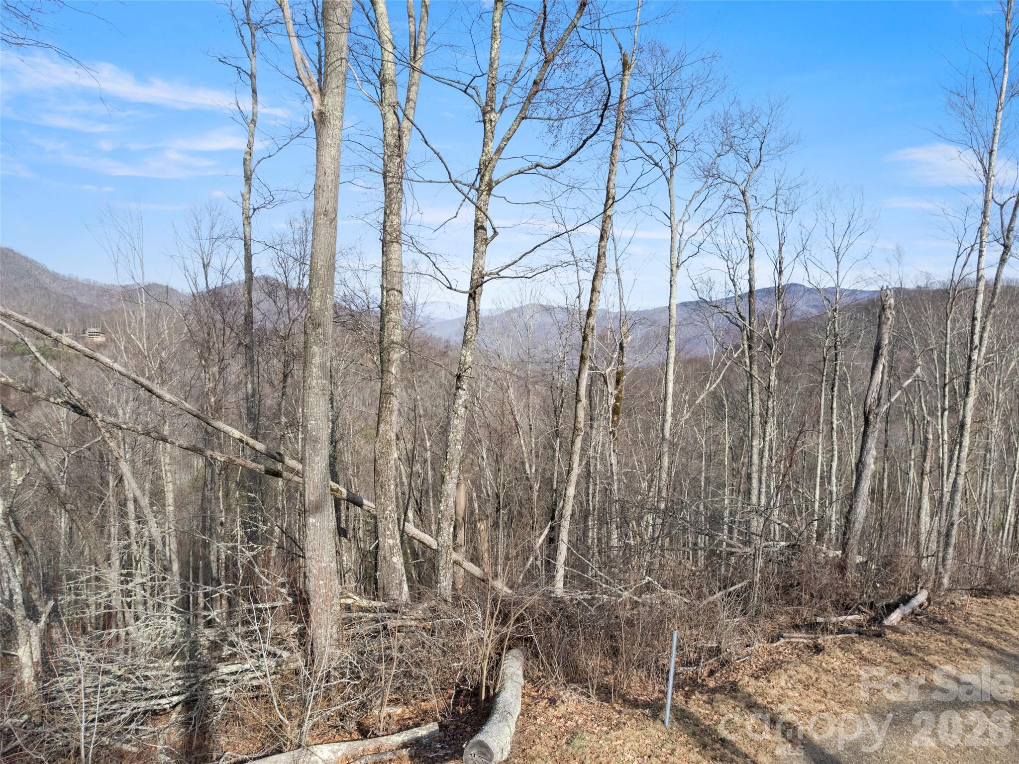 Tbd S Ridge Runner Road Burnsville NC 28714