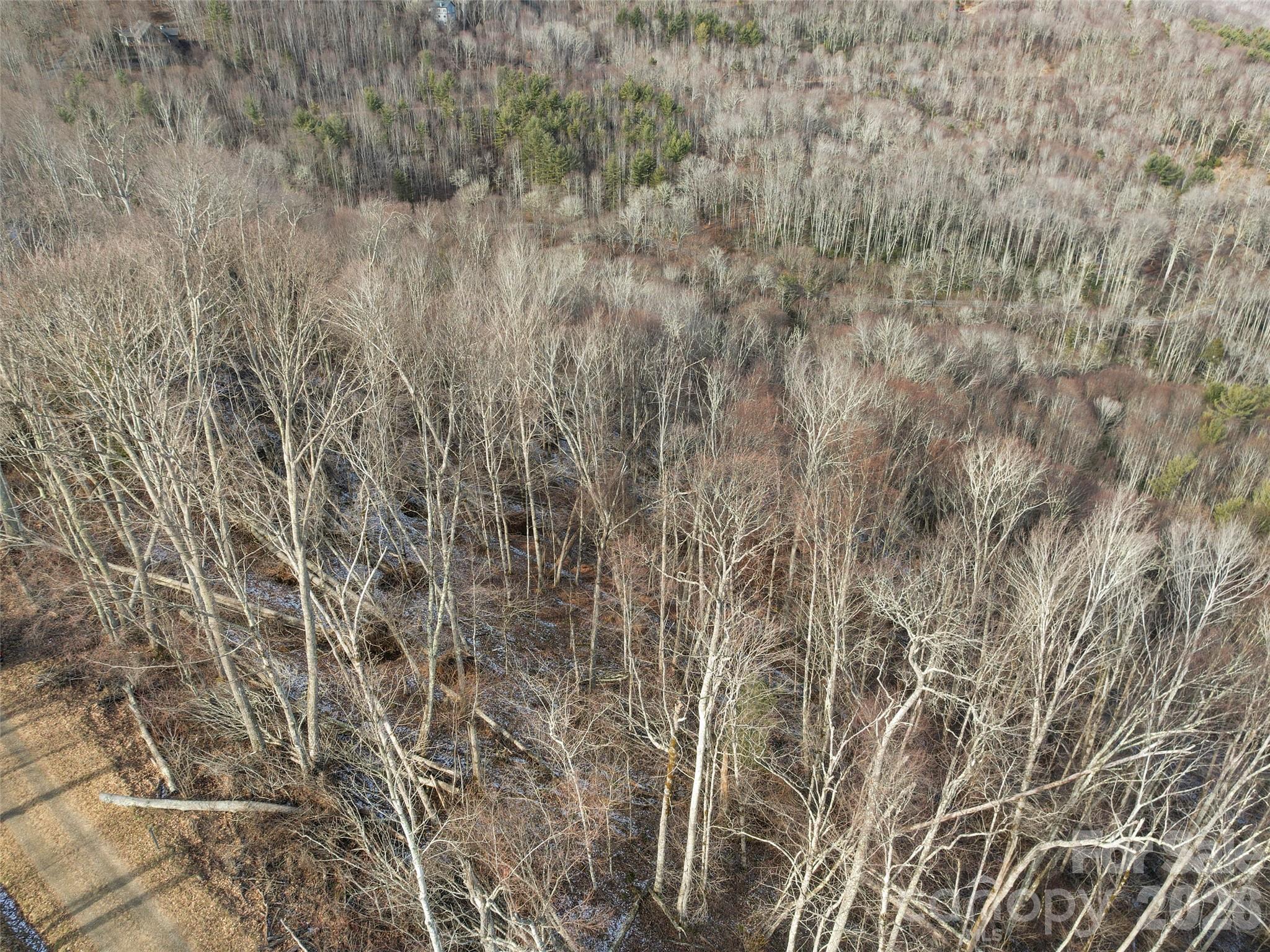 Tbd S Ridge Runner Road Burnsville NC 28714