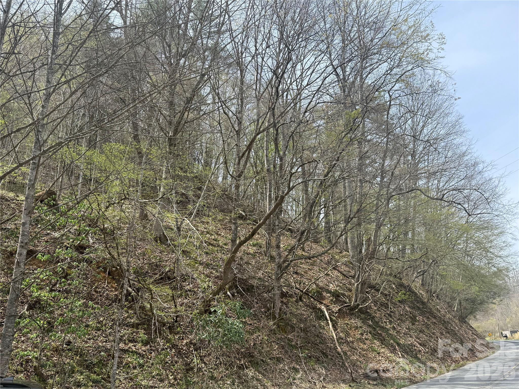0 Hortons Creek Road Burnsville NC 28714