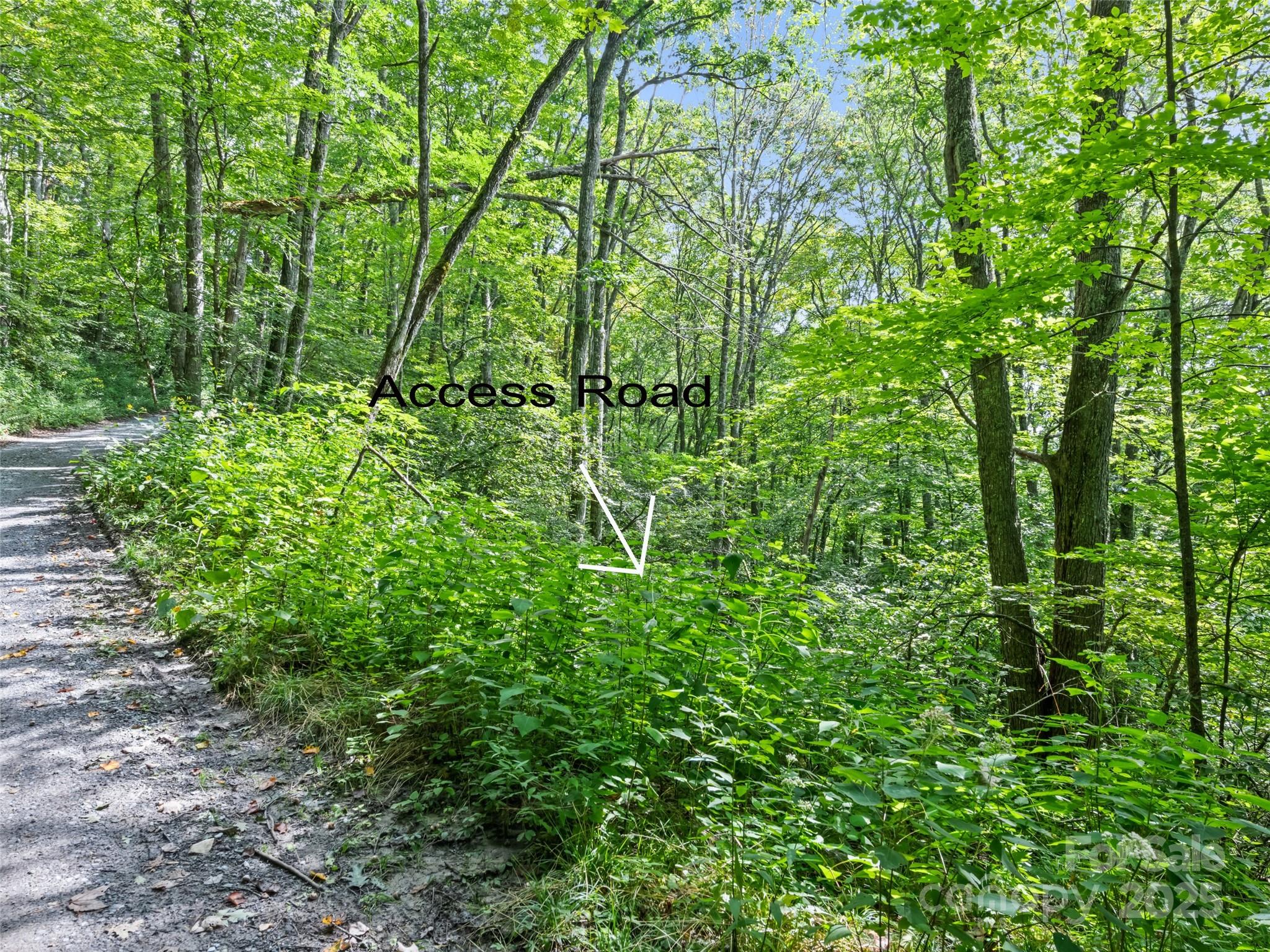 #3-E Sky Drive Maggie Valley NC 28751