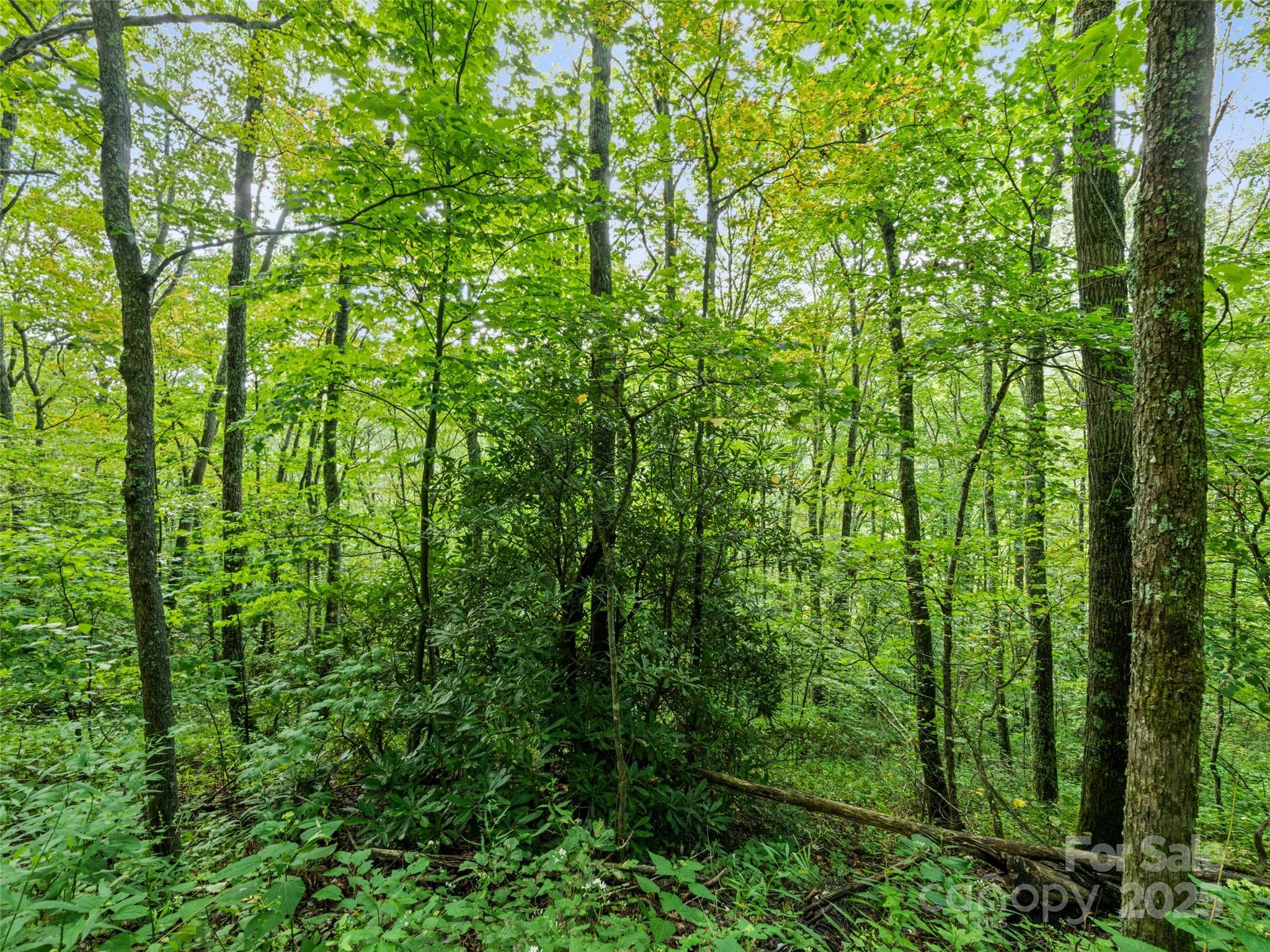 #3-E Sky Drive Maggie Valley NC 28751