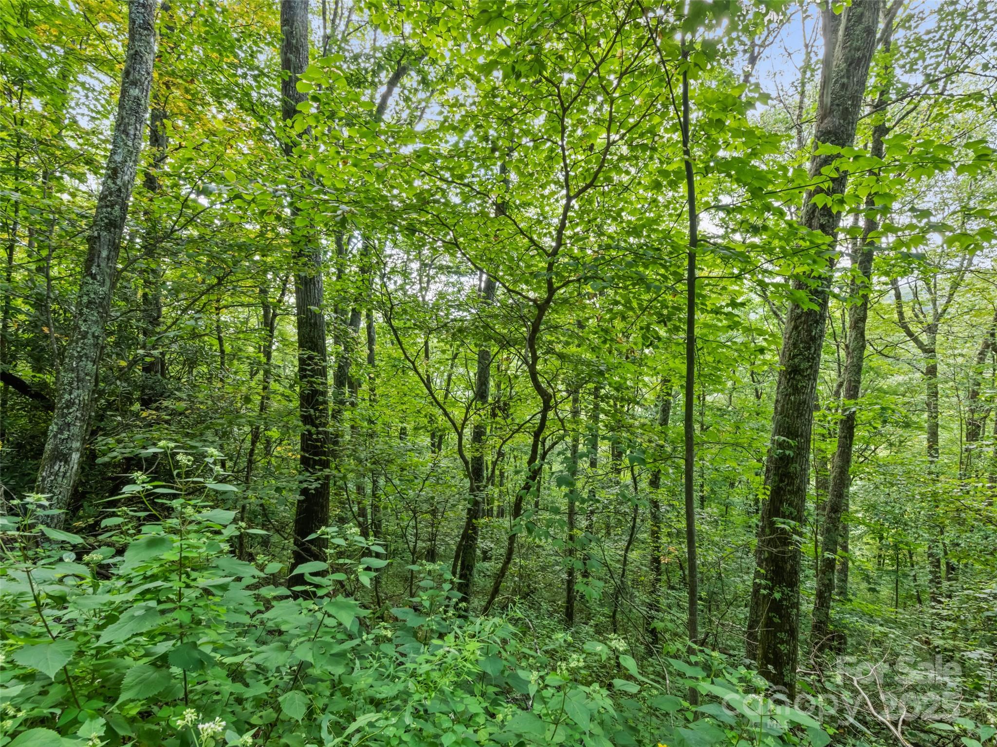 #3-E Sky Drive Maggie Valley NC 28751