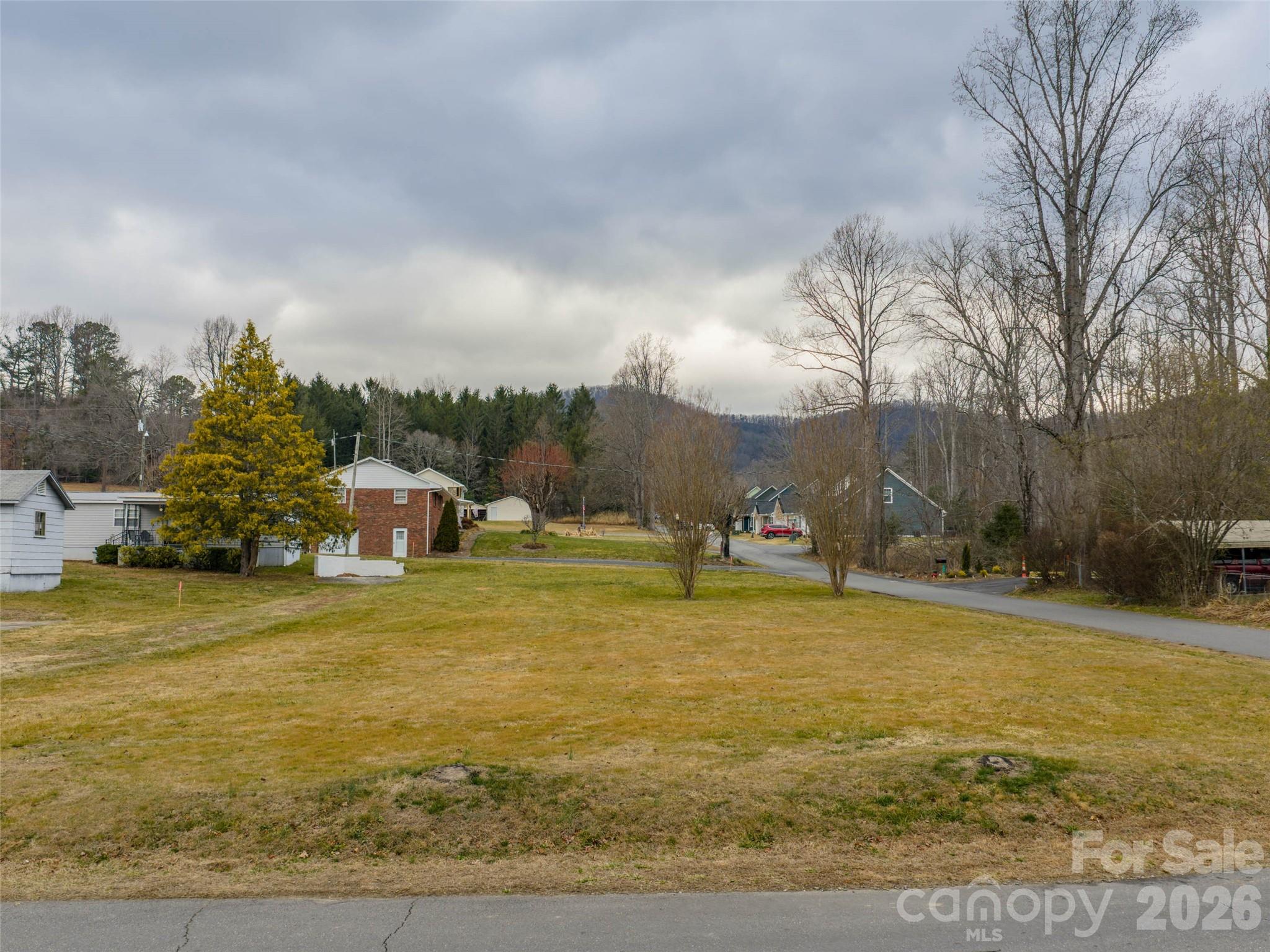 99999 Brooks Cove Road Black Mountain NC 28711