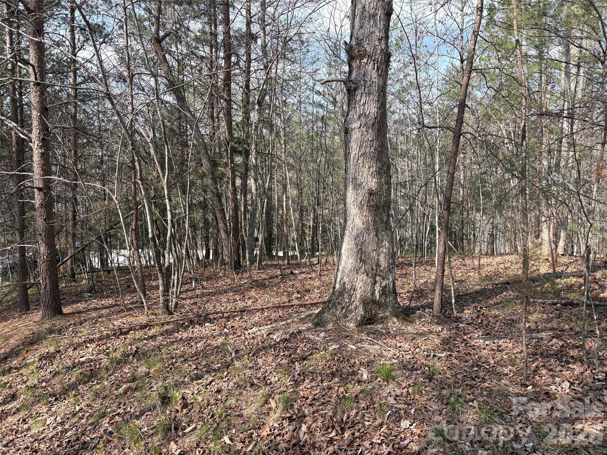 0 Valley Drive Rutherfordton NC 28139