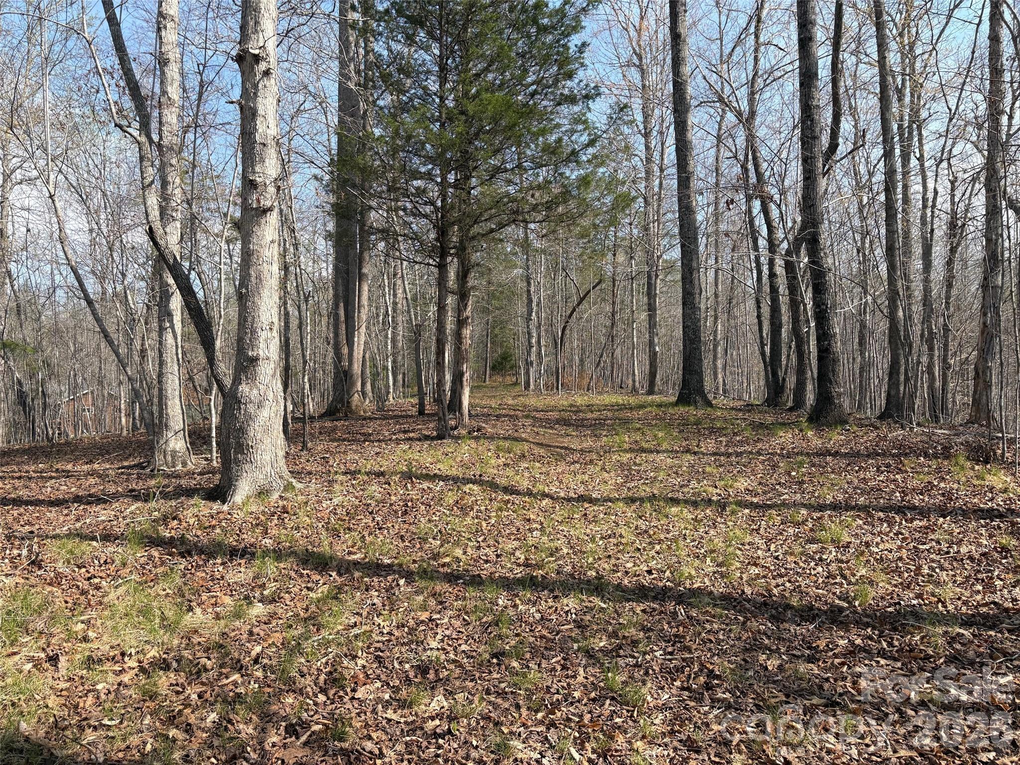 0 Valley Drive Rutherfordton NC 28139