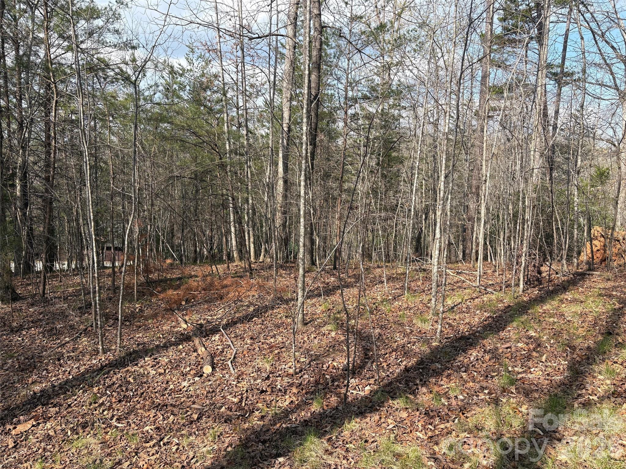 0 Valley Drive Rutherfordton NC 28139