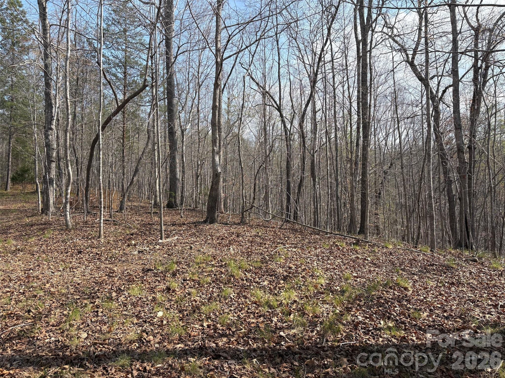 0 Valley Drive Rutherfordton NC 28139