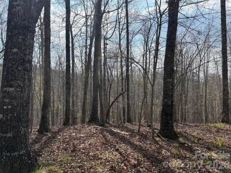 0 Valley Drive Rutherfordton NC 28139