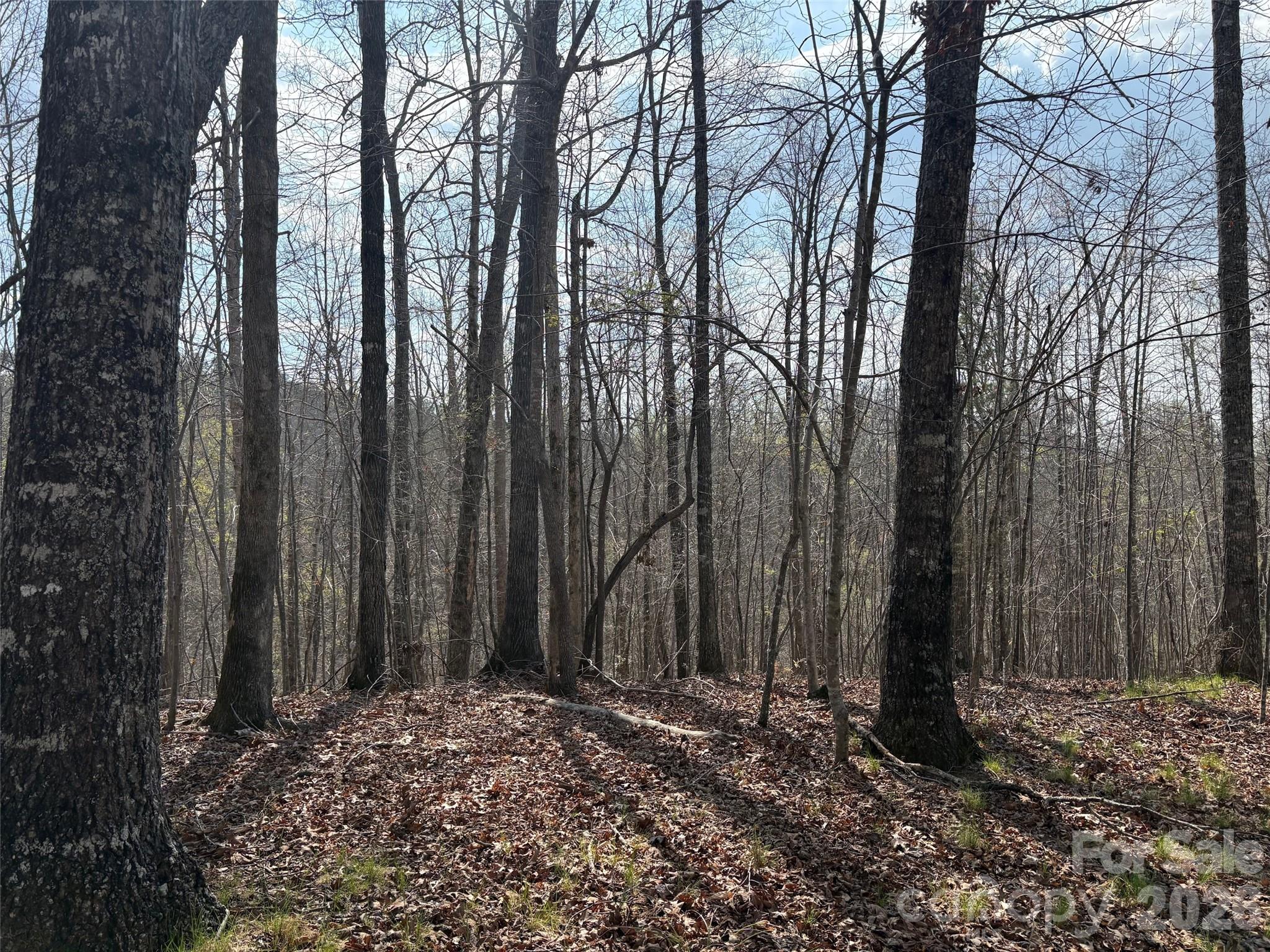 0 Valley Drive Rutherfordton NC 28139