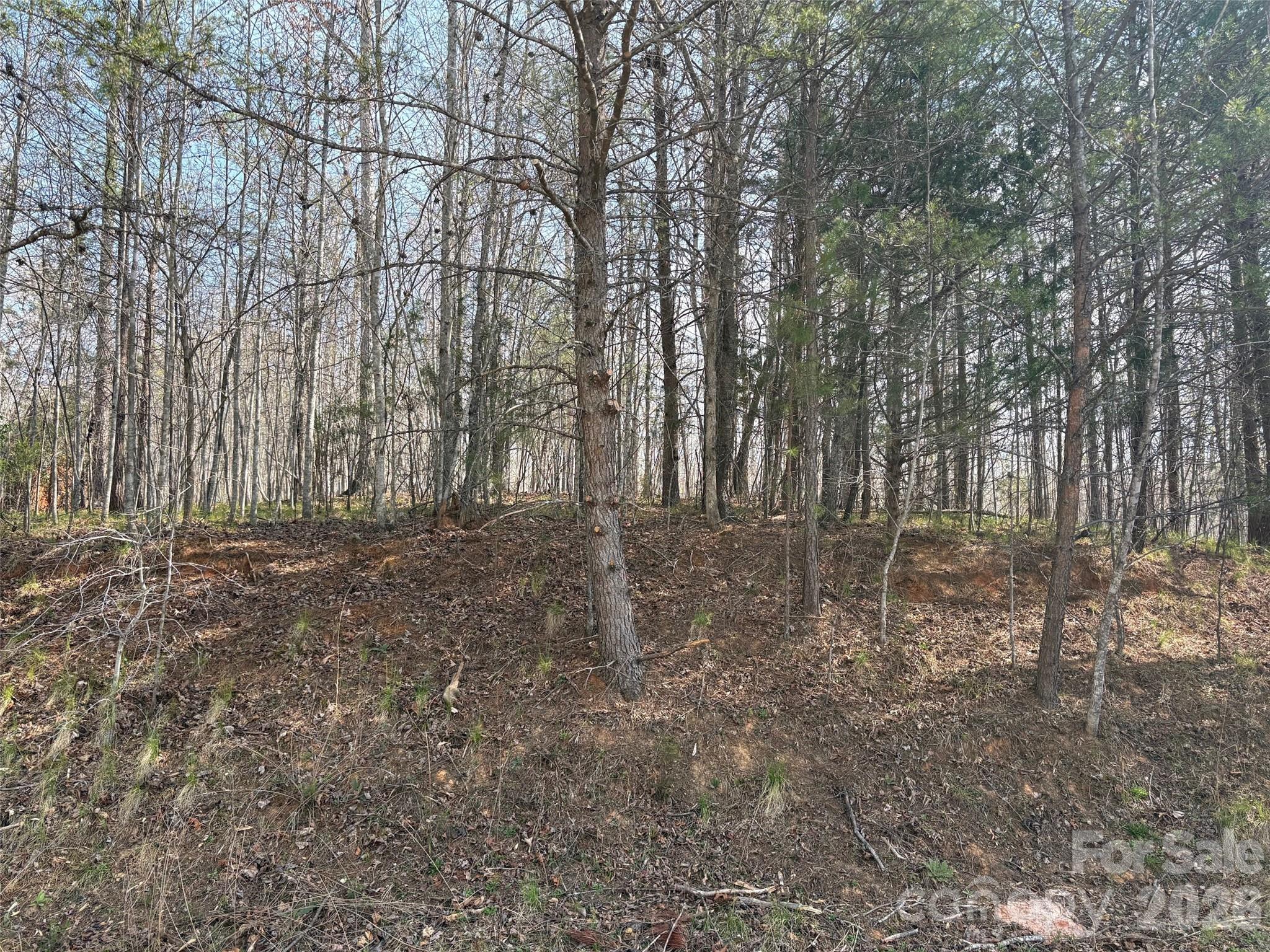 0 Valley Drive Rutherfordton NC 28139