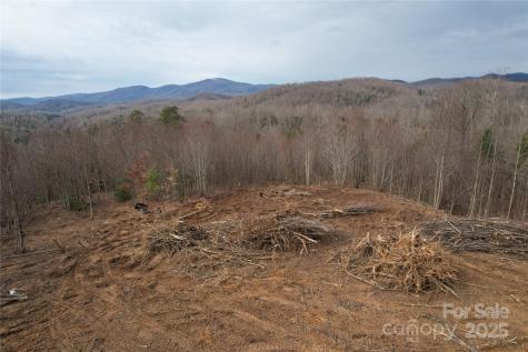 99999 Old Fort Road Black Mountain NC 28711