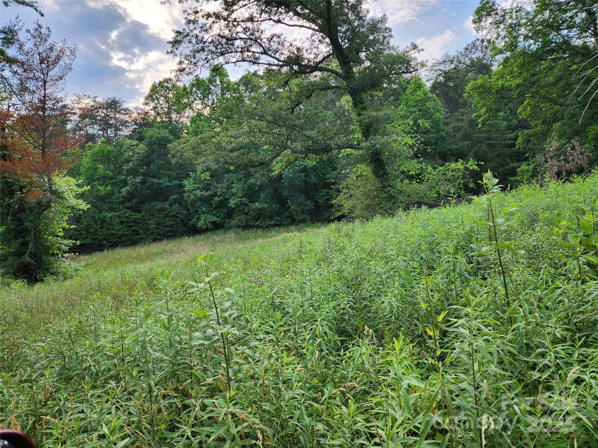 000 W Us Highway 421 Highway Wilkesboro NC 28697