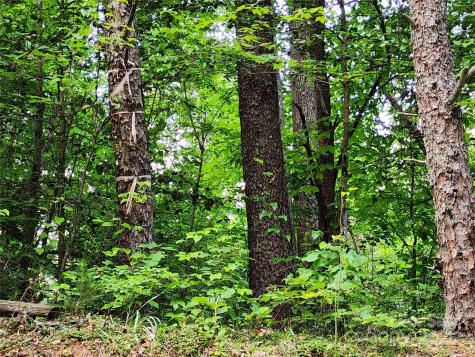 000 W Us Highway 421 Highway Wilkesboro NC 28697