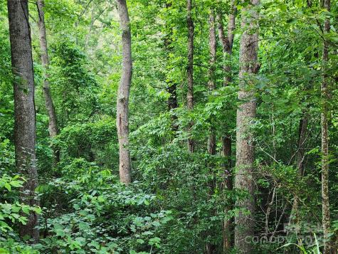 000 W Us Highway 421 Highway Wilkesboro NC 28697