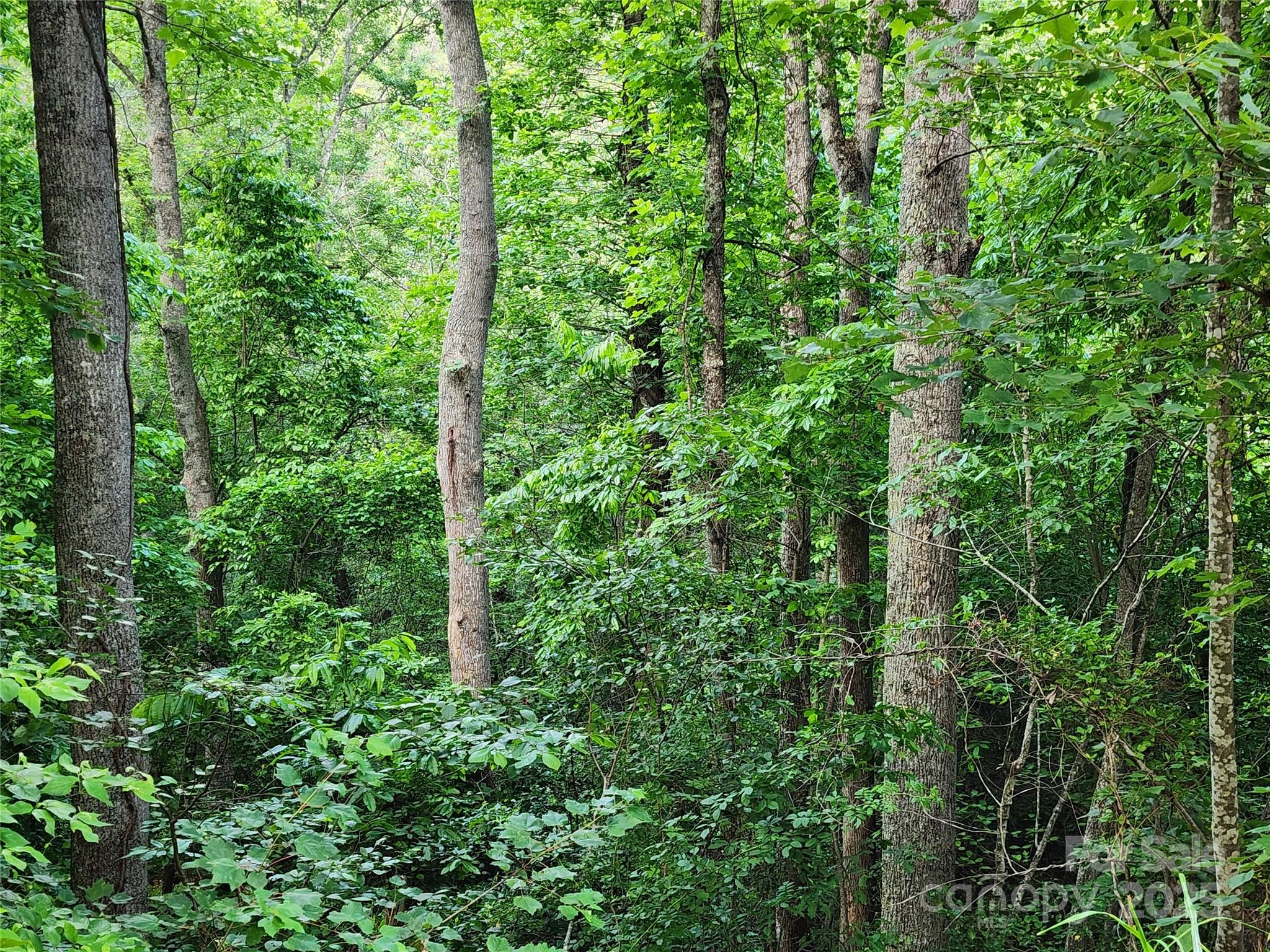 000 W Us Highway 421 Highway Wilkesboro NC 28697