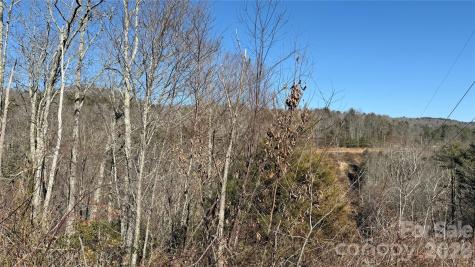 207 Receptive Drive Glenville NC 28736