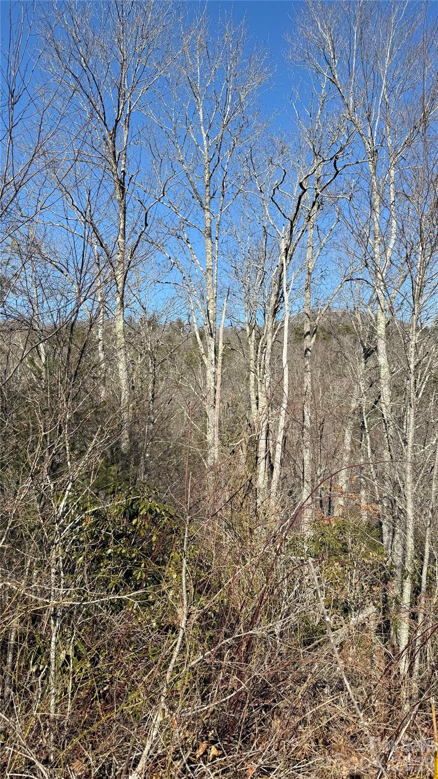 207 Receptive Drive Glenville NC 28736