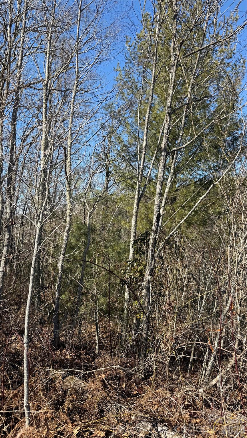 207 Receptive Drive Glenville NC 28736