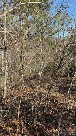 207 Receptive Drive Glenville NC 28736
