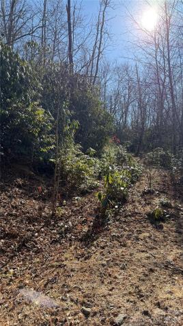 207 Receptive Drive Glenville NC 28736