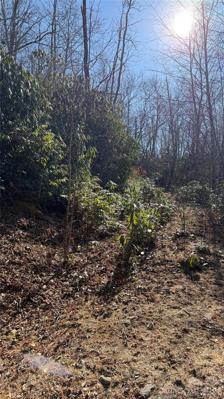 207 Receptive Drive Glenville NC 28736