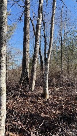 207 Receptive Drive Glenville NC 28736