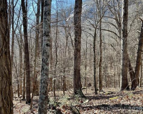 Lot 229 Swallow Lane Lake Lure NC 28746