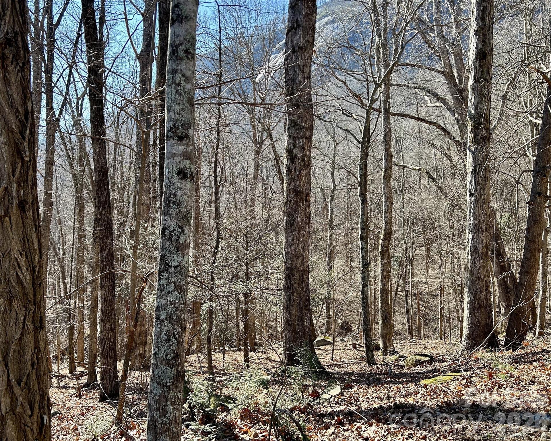 Lot 229 Swallow Lane Lake Lure NC 28746