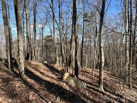 Lot 229 Swallow Lane Lake Lure NC 28746