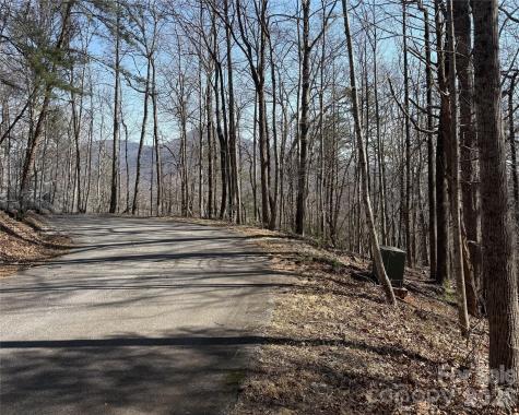 Lot 229 Swallow Lane Lake Lure NC 28746