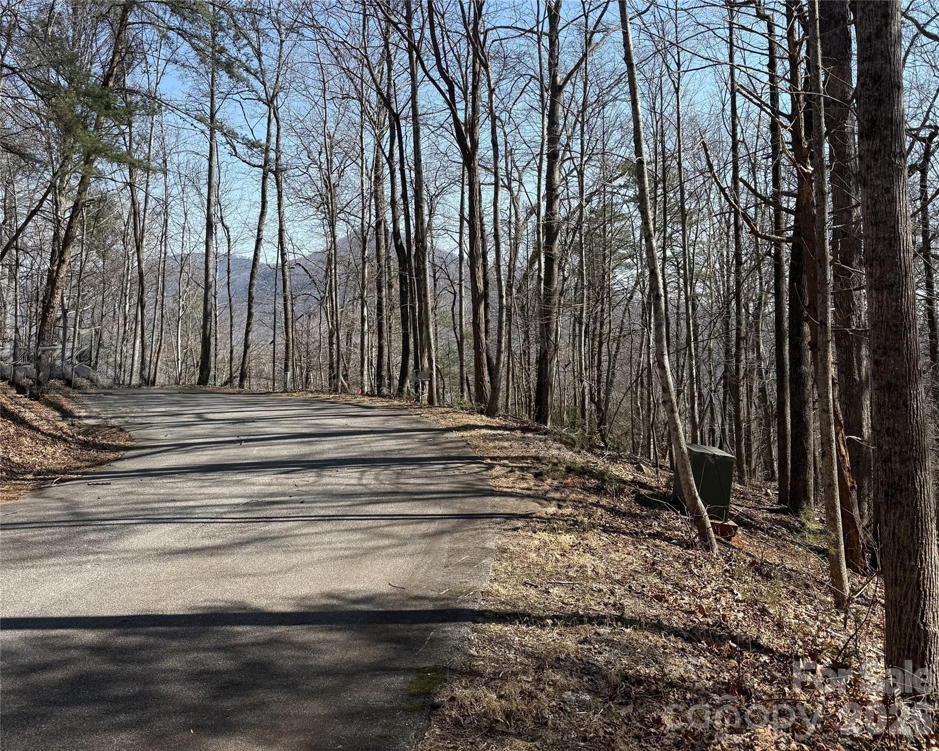 Lot 229 Swallow Lane Lake Lure NC 28746