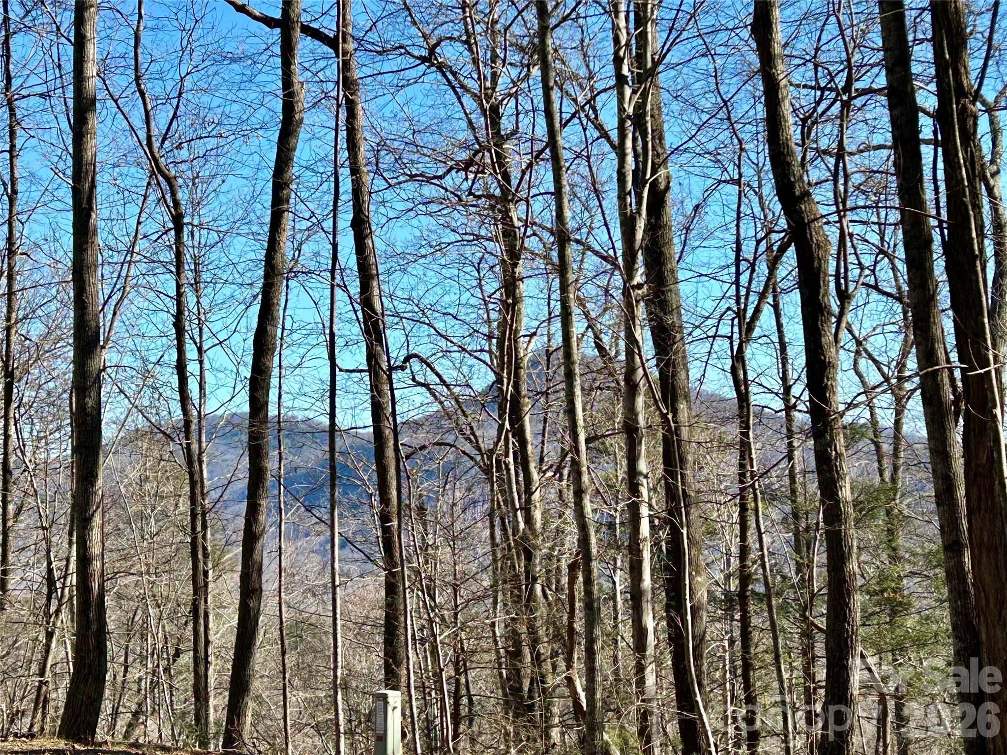 Lot 229 Swallow Lane Lake Lure NC 28746