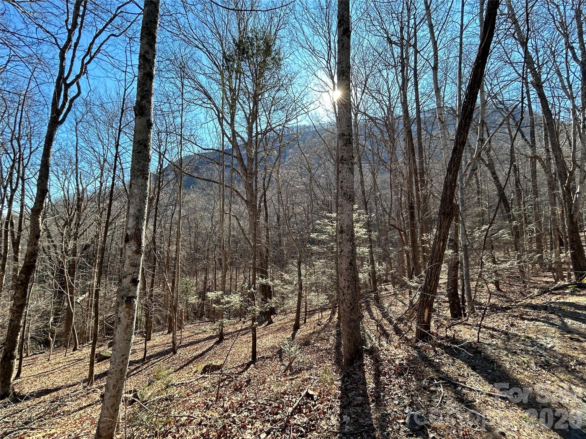 Lot 229 Swallow Lane Lake Lure NC 28746