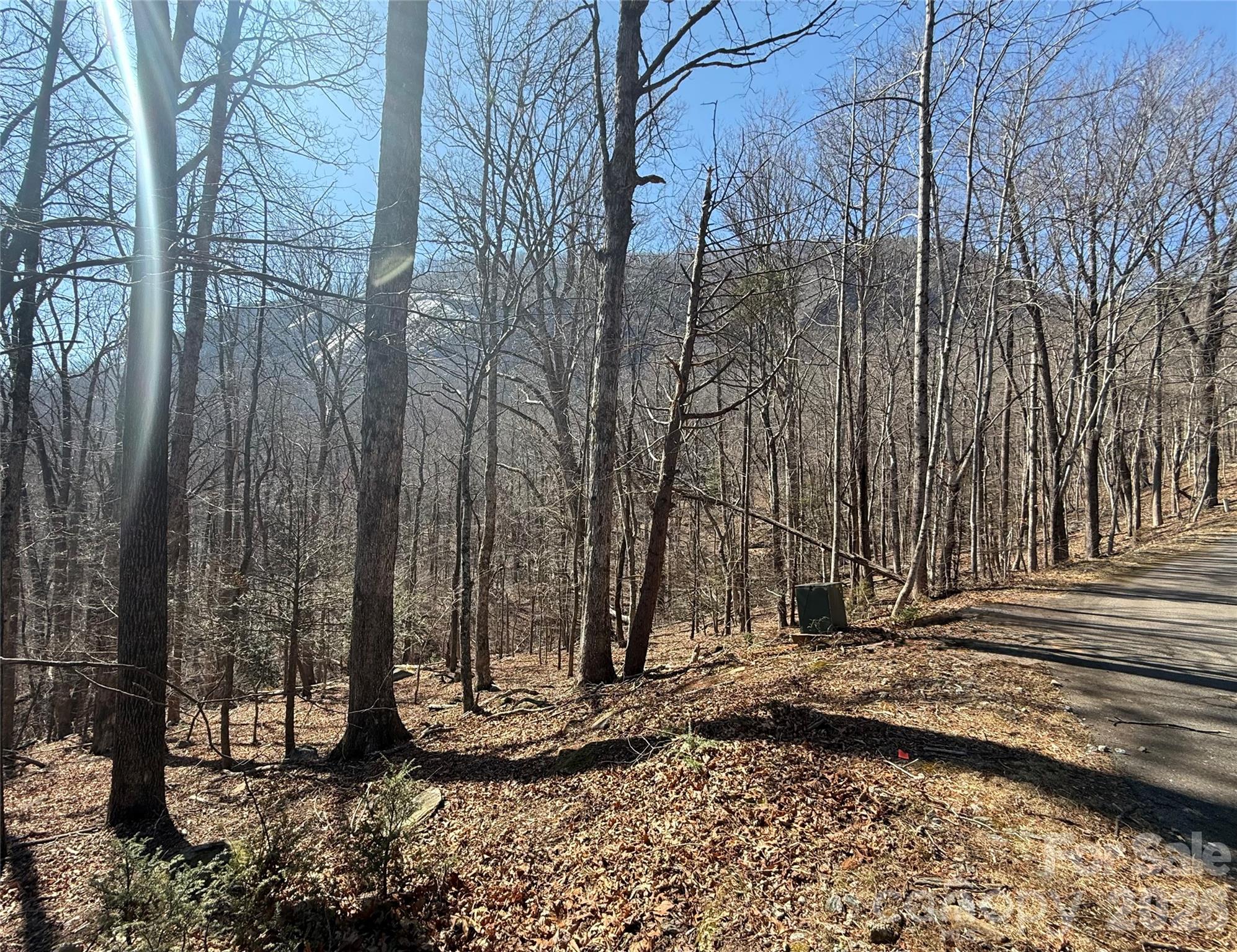 Lot 229 Swallow Lane Lake Lure NC 28746