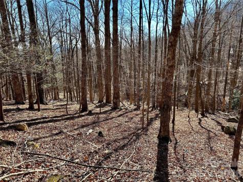 Lot 229 Swallow Lane Lake Lure NC 28746